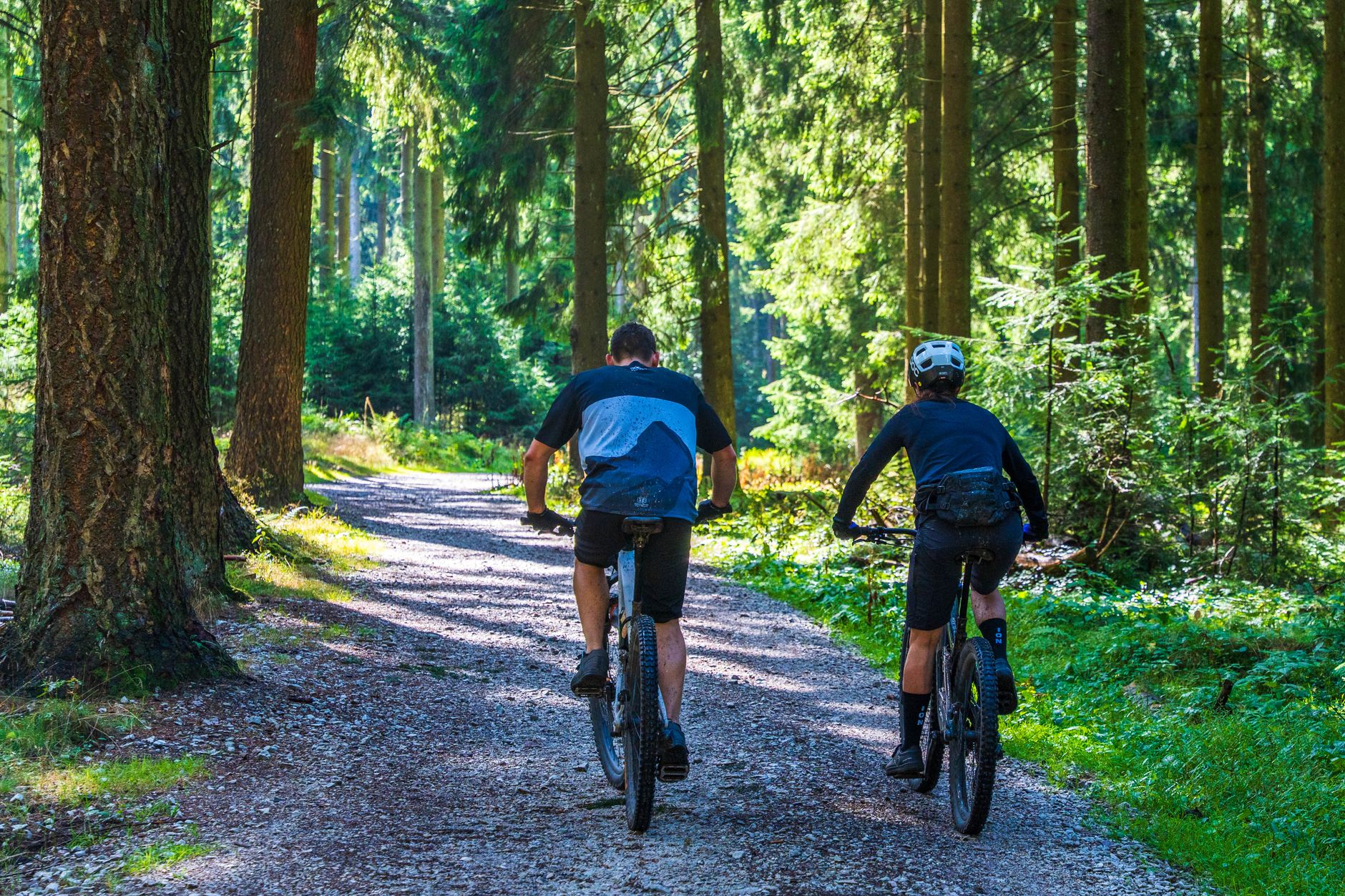 Vélo ou VTT comment choisir — VTT sur sentier forestier