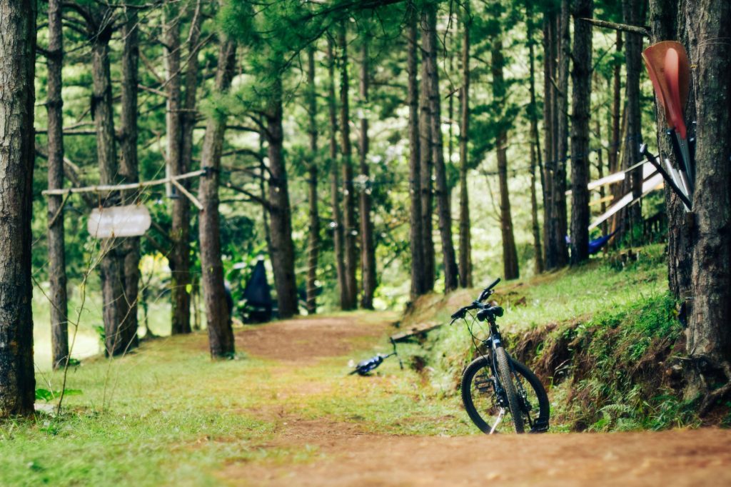 Meilleur vélo tout terrain comment — vélo tout terrain sur sentier forestier