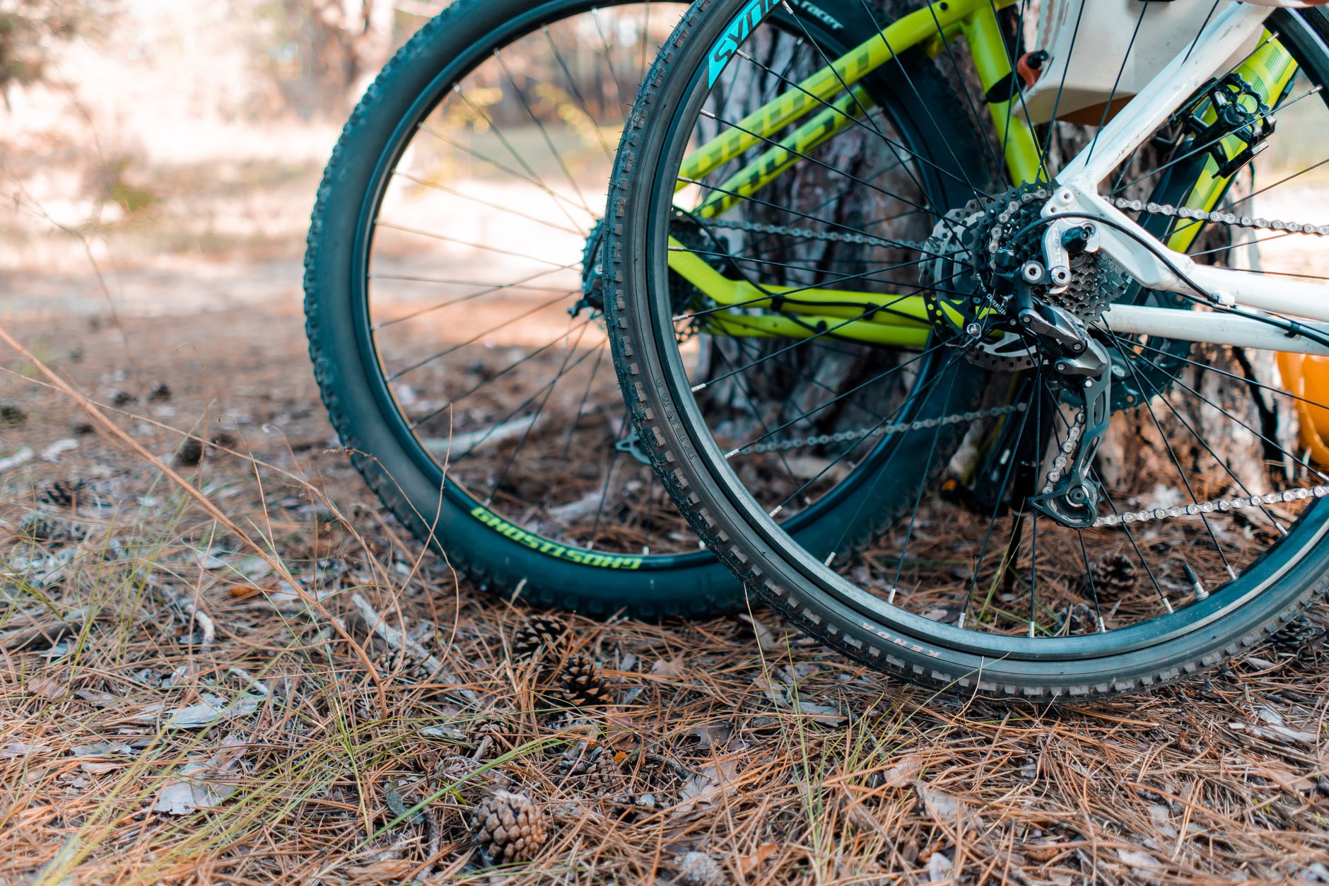 Meilleur pneu de VTT polyvalent — pneu de VTT sur sentier rocheux