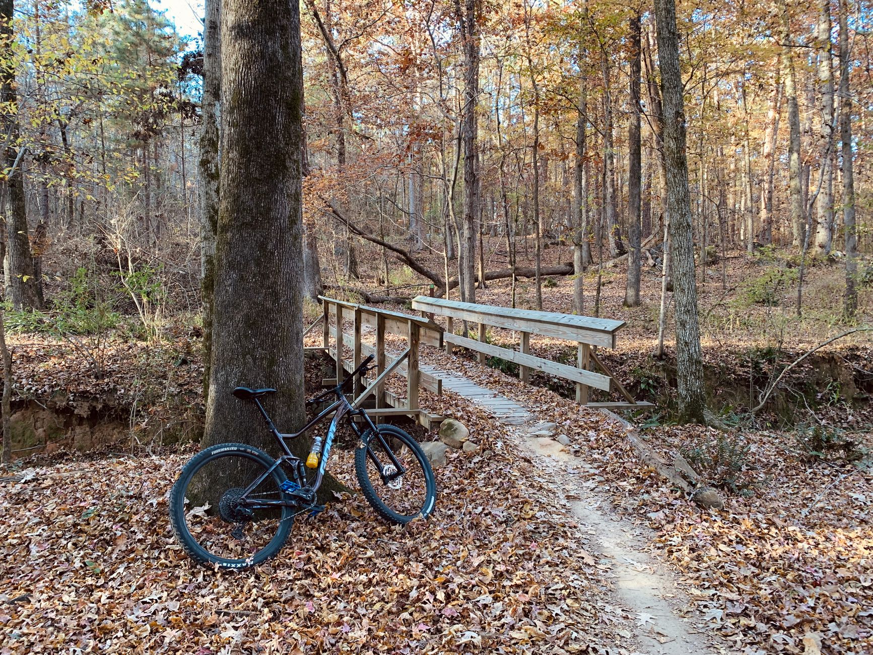 Calendrier des randonnées VTT en Sarthe : trouver une date fiable — sentier VTT paysage forêt