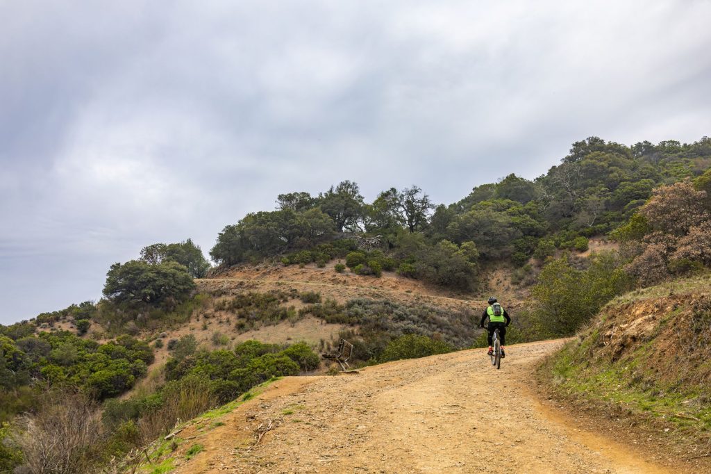Rando VTT Sarthe calendrier, parcours — sentier VTT paysage forêt
